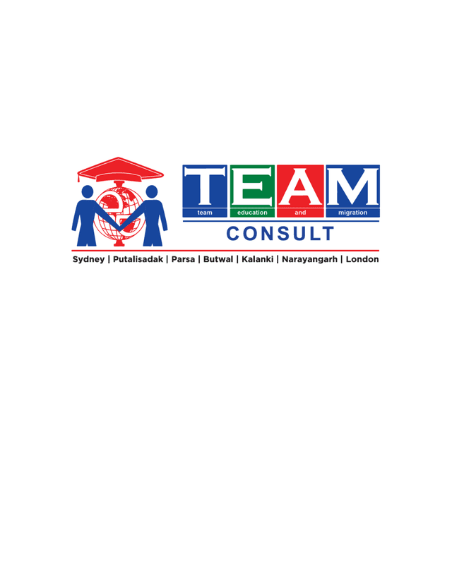 Team Consult